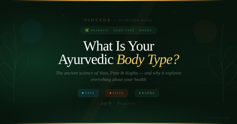 vidveda_feature_body_type